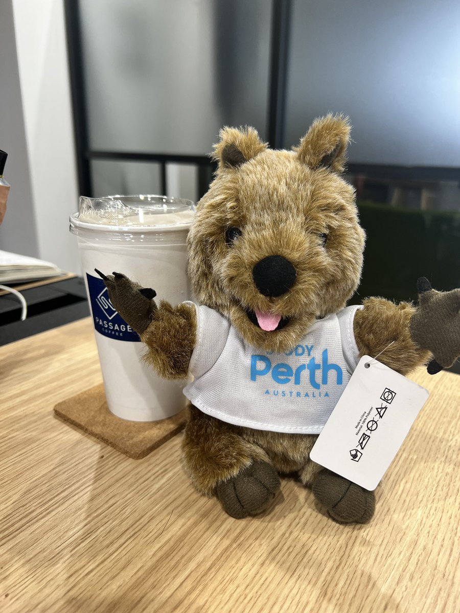 toriumi_ms's tweet photo. 昨日久しぶりにオフィスに出社したら、机の上で #studyperth  のクォッカが両手を広げていたのが最高に可愛かった♡ https://t.co/qD4GvzQRVM