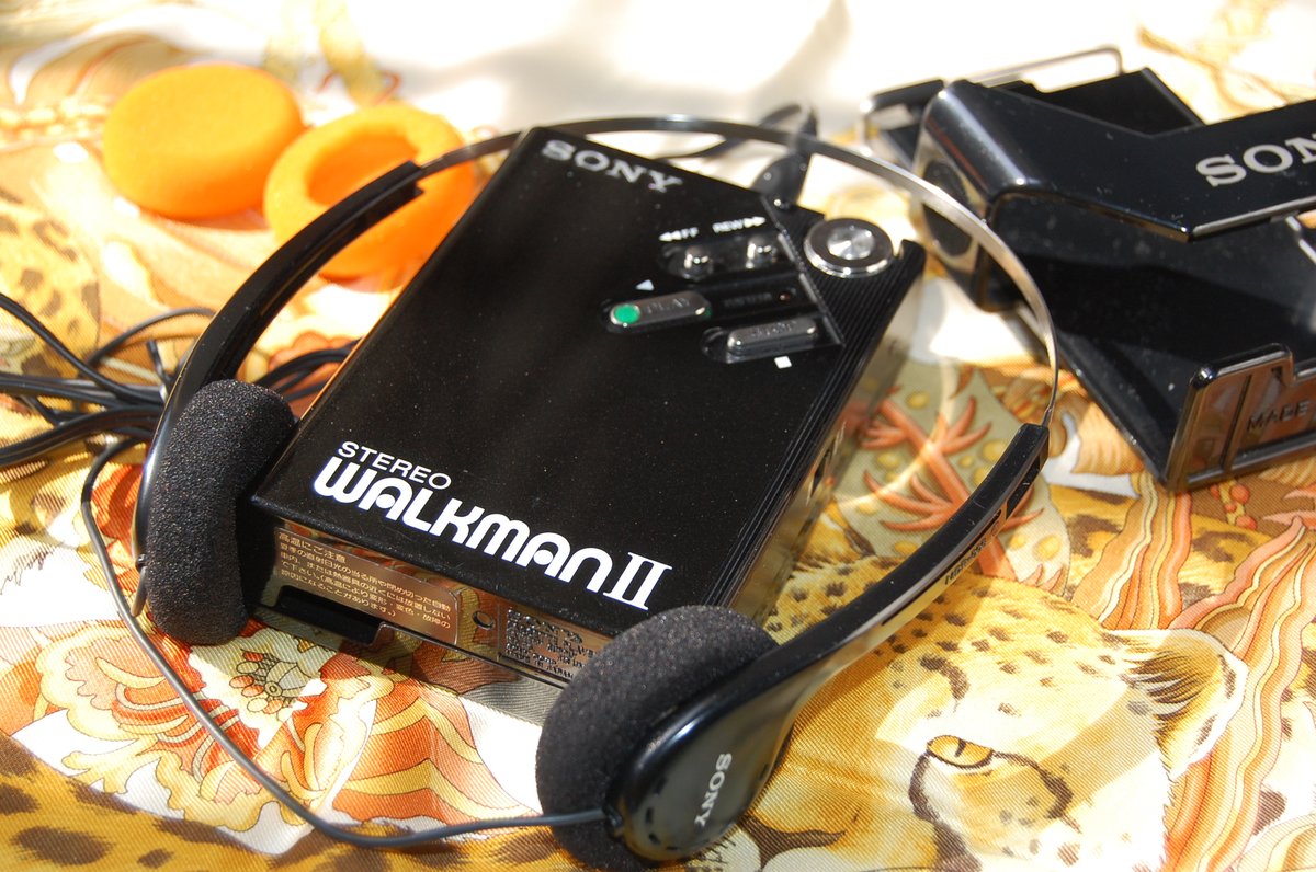 ギフテッド児のレベルのIQ
🤣マイルドリー115-129
🤣モデレイトリー130-144
🤣ハイリー 145-159
小５で118(±15)だったから130あったかも
低レベルのマイルドリーギフテッドだったようです。ポジション的にはギフテッドも一般人の理解もある。
マイルドリーでも世の中の変革を繰り返し、神様の使いです