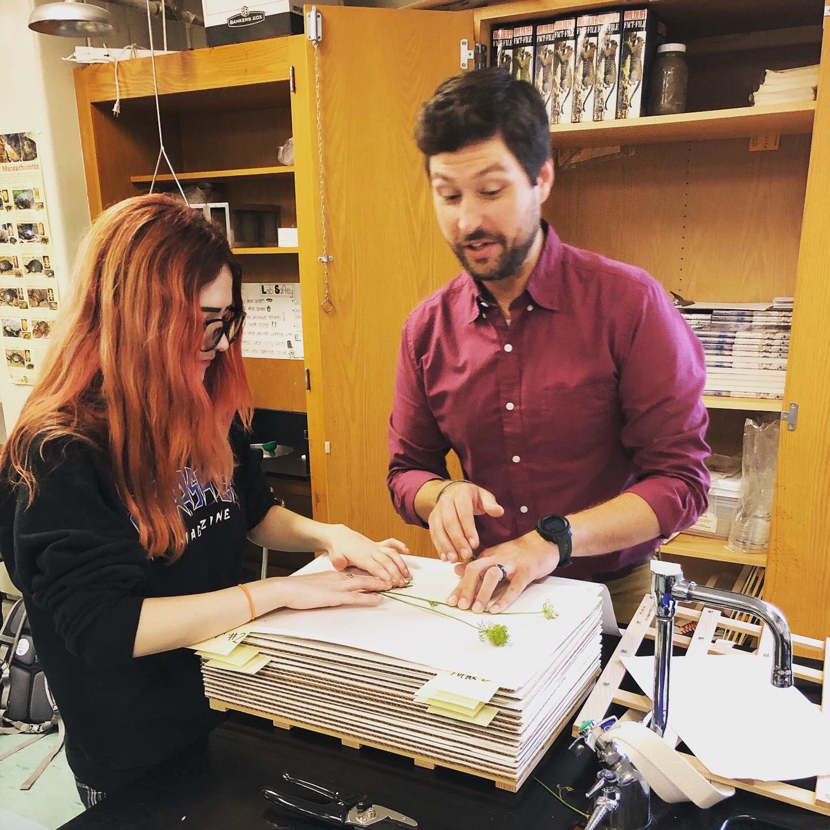 TritonHighSchl's tweet photo. Mr. Horsley’s Environmental Science students were working on plant identification and pressing samples of specimens they collected from our fields by the marsh. #localscience #tritonvikings https://t.co/jqYEgZsdYc