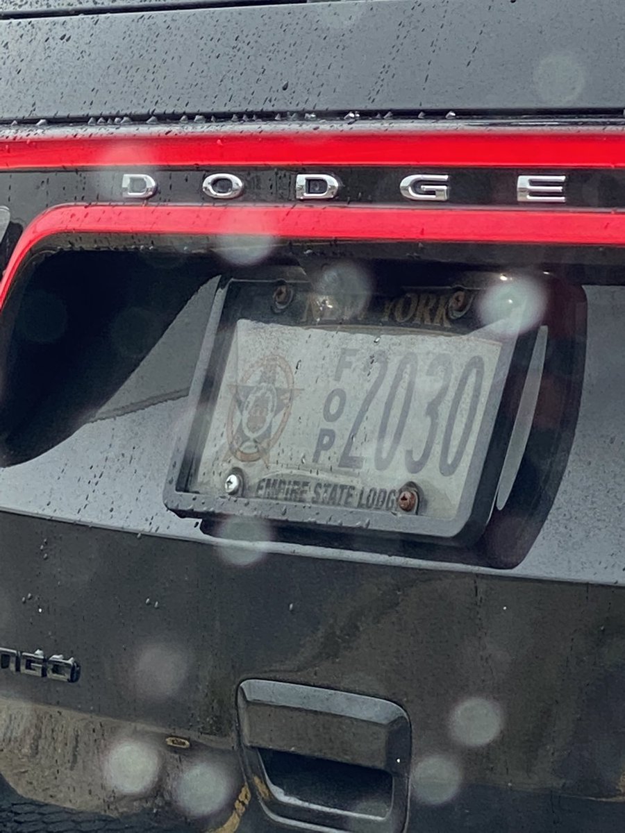 Rafael Shimunov 🍉 🕎 tweet media