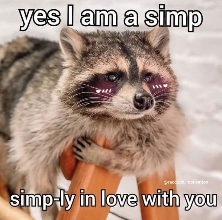 gn 💜 sweet dreams