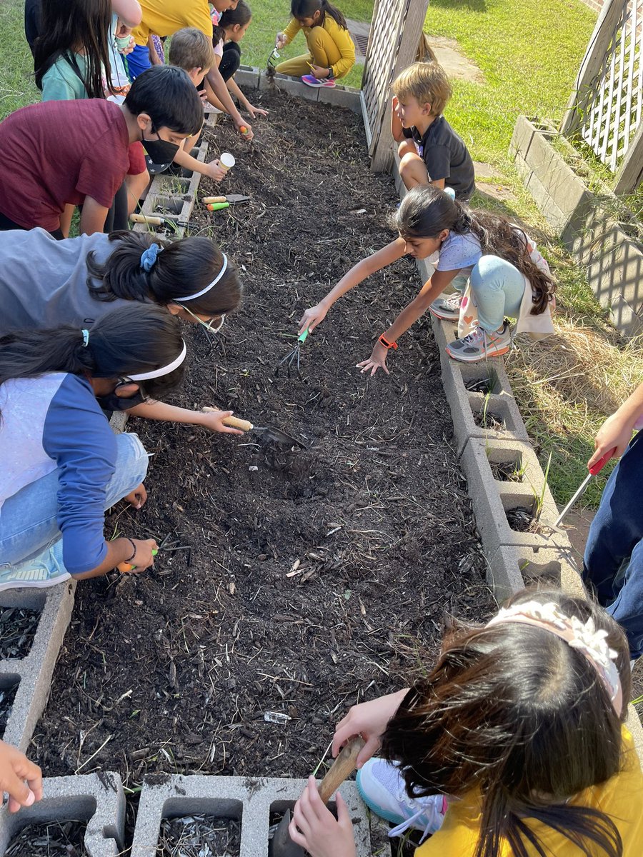 MrsHernandezCSE's tweet photo. Love spending time with the Green Squad on Wednesday afternoons! They’ve been working hard pulling weeds, prepping soil, and planting their fall/winter veggies and herbs! @CSE_Chameleons #CSEgreensquad https://t.co/GzAXaTiD3L