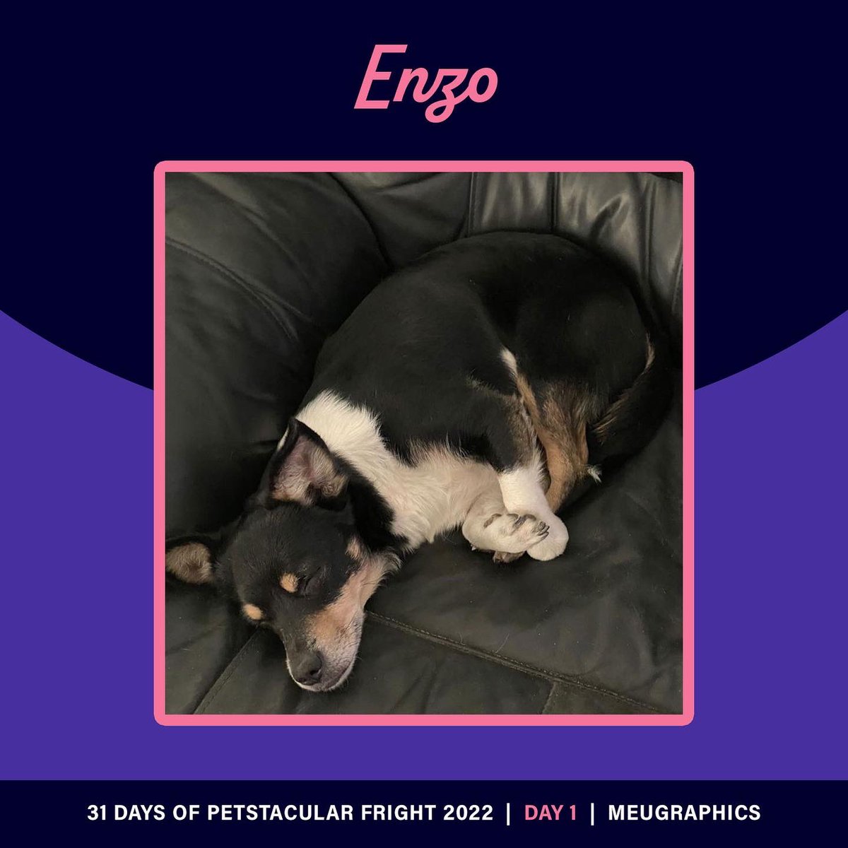 Meugraphics's tweet photo. Day 1 to day 2 pawtraits 💜 #octoberdrawingchallenge #Drawtober2022 #illustrator #octoberart #drawingchallenge https://t.co/ScGgtsMQZx