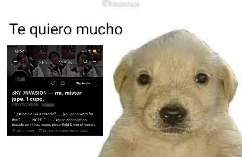 dale gata dale muñekita (@bell4kath) on Twitter photo 