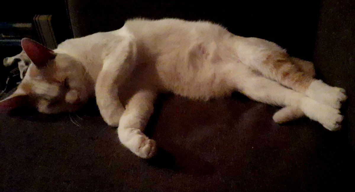 Frappe chilling tonight