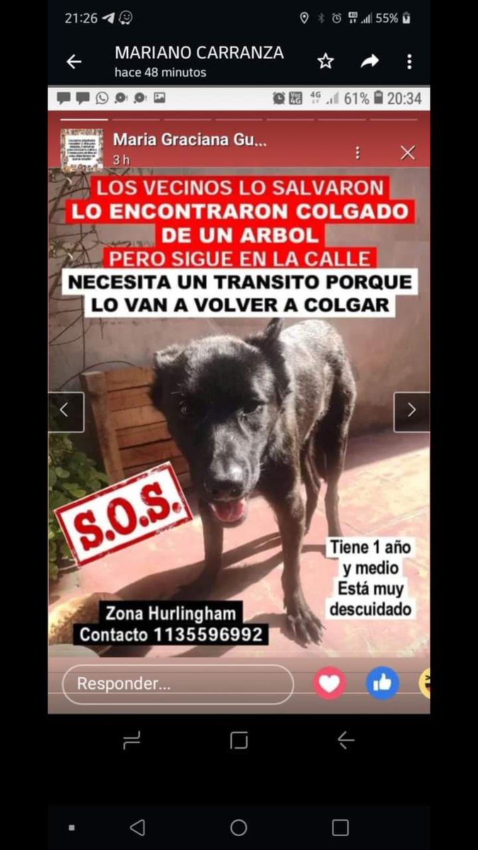 @Tabyta52/20🇦🇷🇪🇦🇺🇦🇮🇱💙💙💙 tweet media