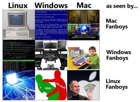 Programmer Humor tweet media