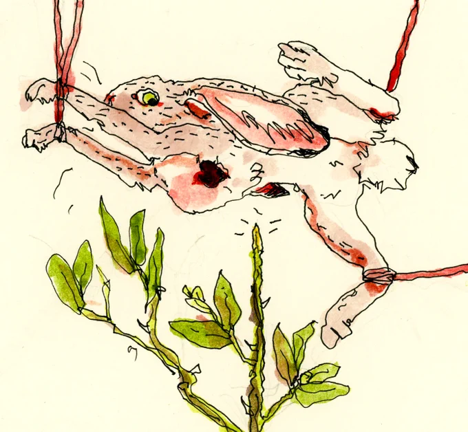 Scrawltober 5... a rabbit 