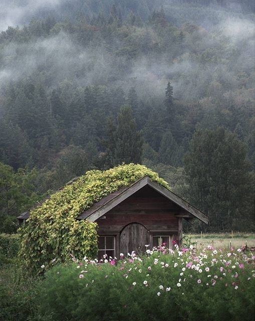 Sometimes we just need a quiet place to rest and stare at the trees for a bit, till we feel like ourselves again.