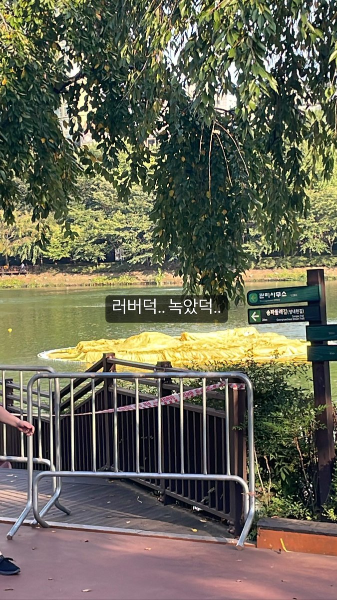 Chirakshee6's tweet photo. Haebin instagram update #Hanhaebin #νν΄λΉ https://t.co/XKWmNmAhzV