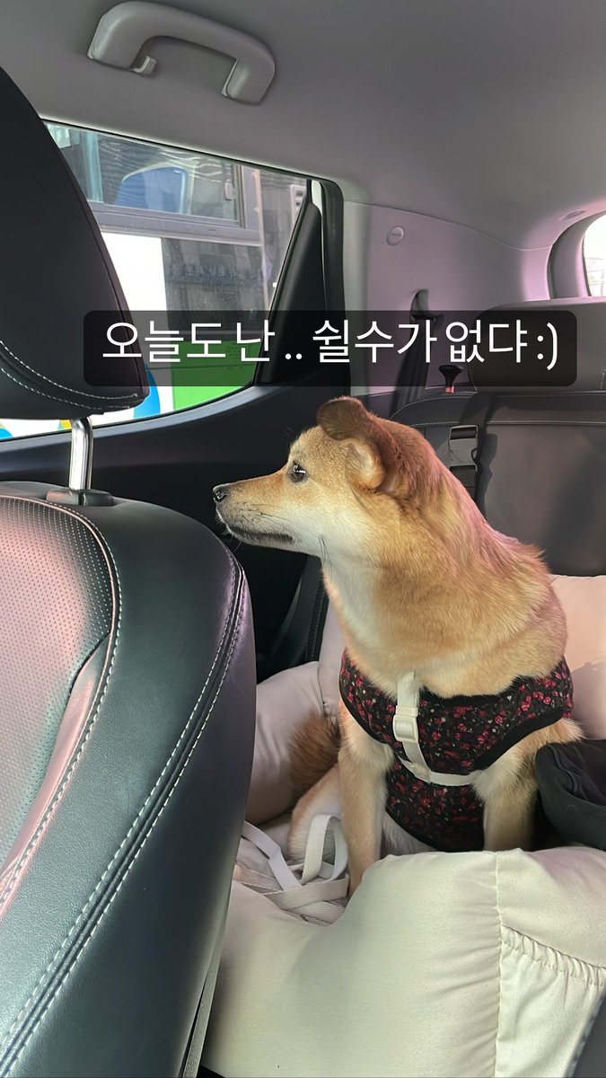 Chirakshee6's tweet photo. Haebin instagram update #Hanhaebin #νν΄λΉ https://t.co/XKWmNmAhzV