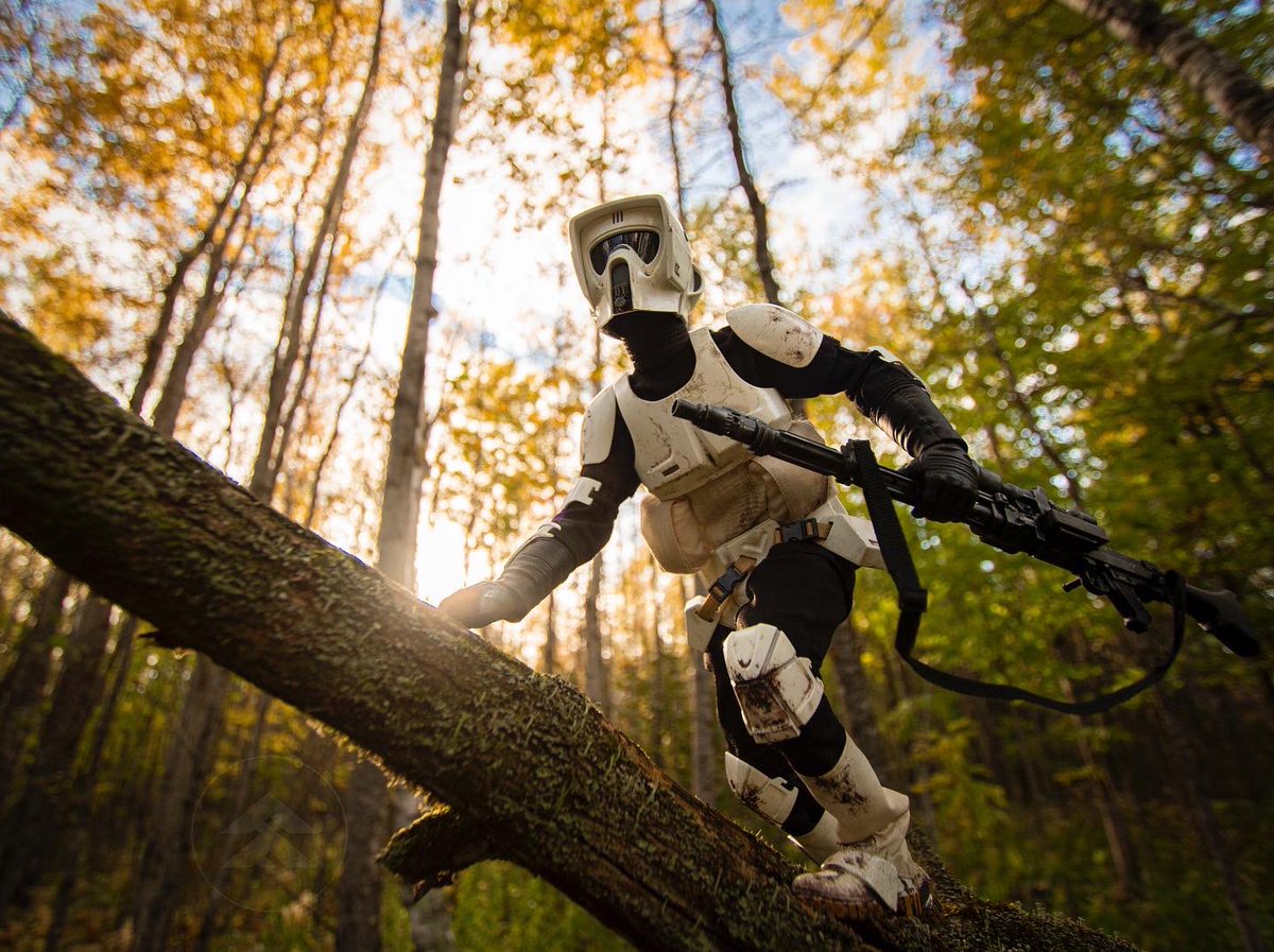 fathersfigures's tweet photo. Climbing for the perfect sniper position.
This beautiful figure comes from @collectsideshow
#endor
#bringbackteek https://t.co/reUbRVTWLz