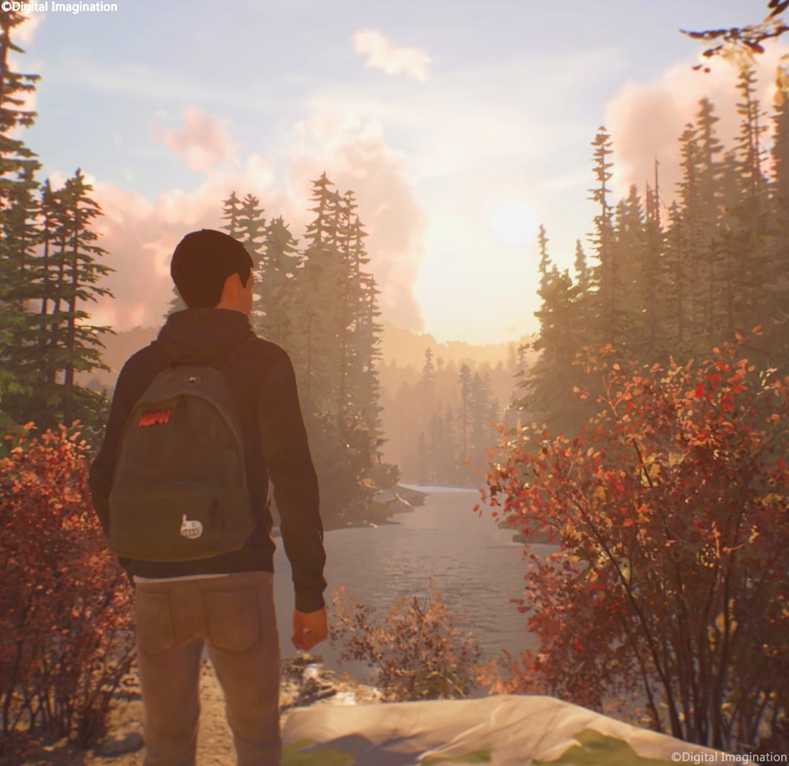 digital_img1's tweet photo. 'The beginning of death'
Game: @LifeIsStrange 2
Dev: @DONTNOD_Ent
#TCCForest #LiS2 #Sean #Daniel #Fall #Autumn #SVP #Gamergram #VPEclipse #vpgamers #VPCommunity #VGPUnite #ThePhotoMode #purephotomode #RoyalSVP #Phomode #ArtisticofSociety #WorldofVP #Gametography #GSVP #LandofVP https://t.co/OyzruhMr2G