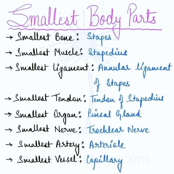 nmdcat_of's tweet image. 👍👍👍