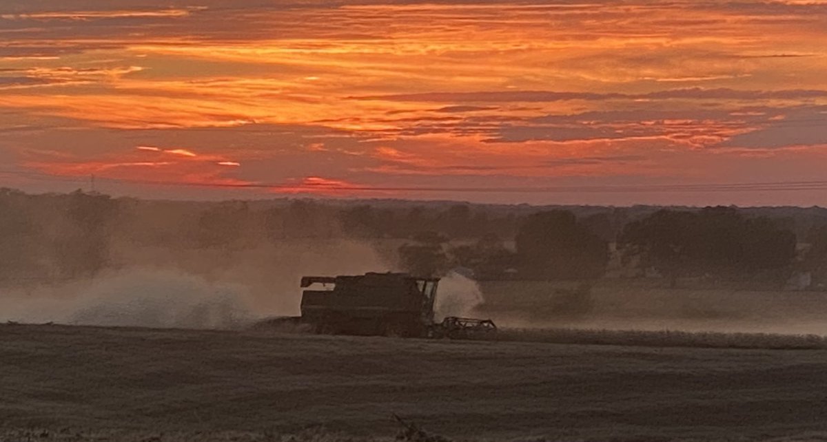 🍃🌸SandyB🌸🍃 (@sandybrainard) on Twitter photo 