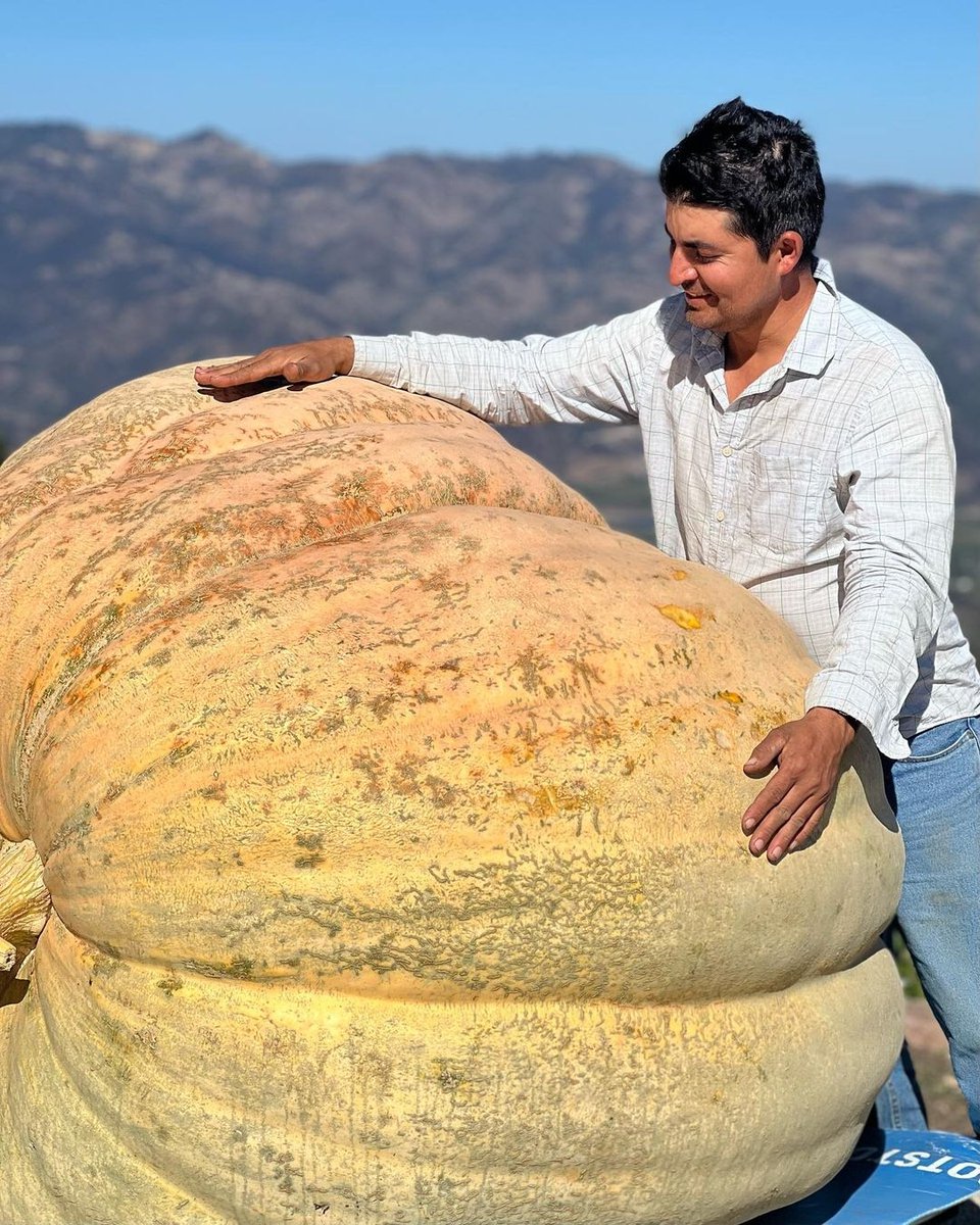 Baby on Gourd! Want to see this Giant Atlantic Pumpkin for yourself? Click the link below to reserve a tasting at the brand new @behrensfamilywinery tasting room up at their winery! 

l8r.it/6O3W

#napa #sthelena #napawine #winewednesday #winetasting #wine