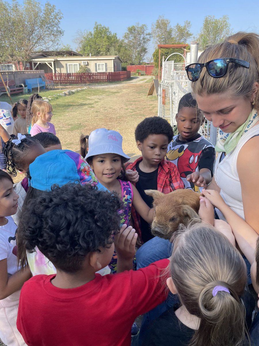 TOCS_Principal's tweet photo. Kinder Eagles enjoying a day at Amy's Farm. They enjoyed learning about nature, petting animals and picking pumpkins today! Field trips are the best! #TOCSRocks #TOCSEagles https://t.co/6vdw1aUHS2