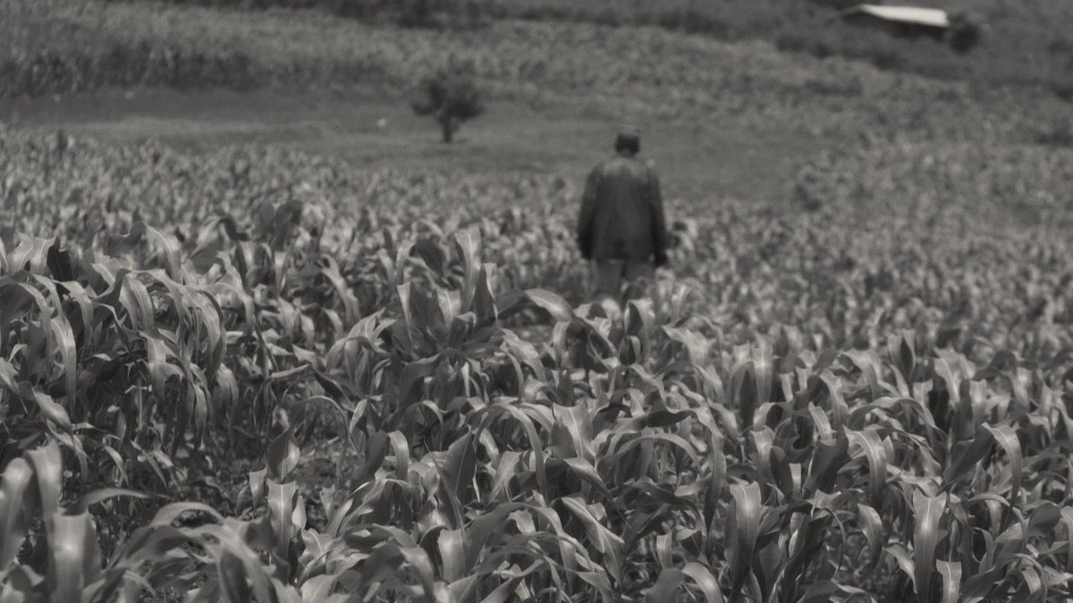 Faya Dayi [2021]
Nonton ulang karena ada rilisan criterion 
Dan gara2 rewatch ini baru tau kalo Jessica Beshir sakti banget yaa dari produser, sutradara, penulis, sinematografer semua dia