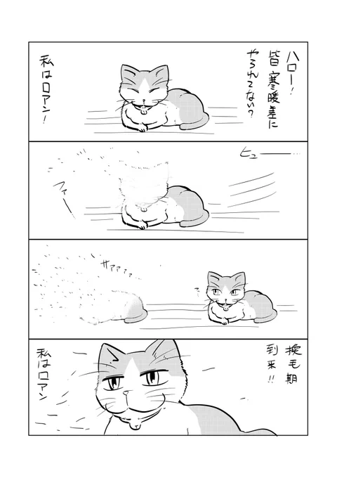 猫漫画、私はロアン第8話「季節到来」#猫漫画 #私はロアン #職場の猫 