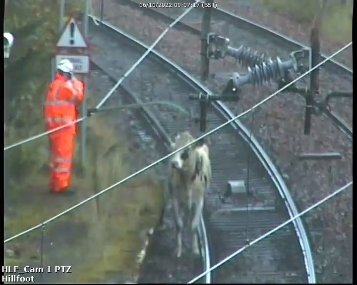 ScotRail tweet picture