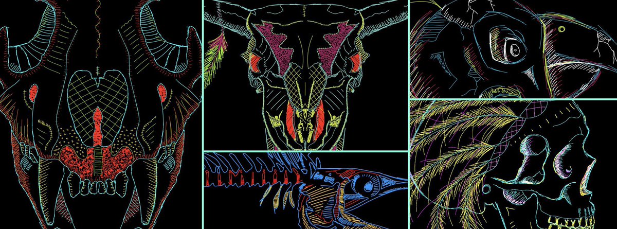 Details Matters 🪶

#SKETCHZ #NFTs