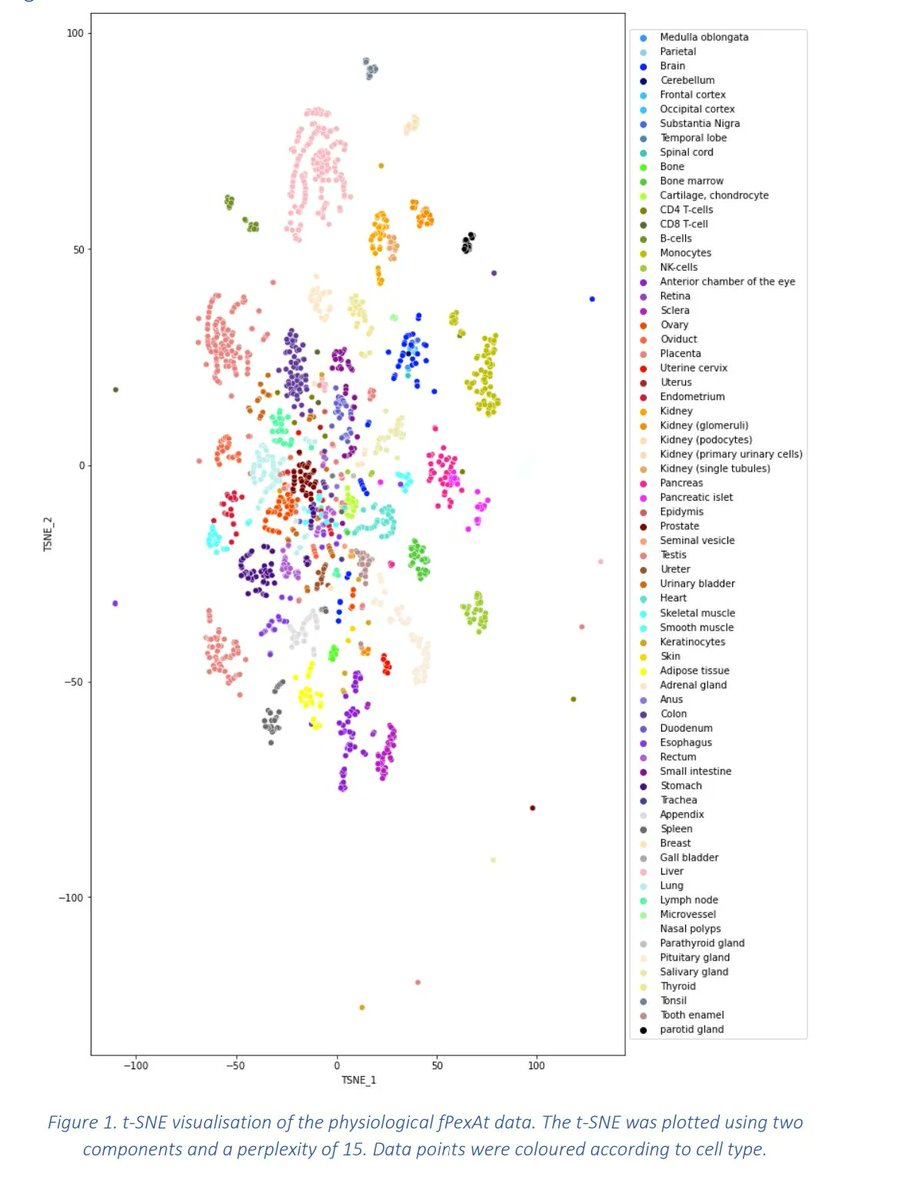 PastelBio's tweet photo. Machine learning on large-scale proteomics data identifies tissue- and cell type-specific proteins | https://t.co/SupIaO8OUd #proteomics https://t.co/bDzCNhif5w