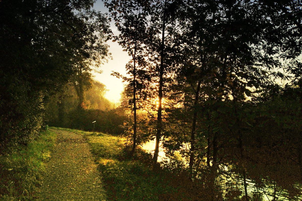 joe_stalder's tweet photo. Frankrichli #Pfyn  heute um Viertel vor acht https://t.co/KU1ae7AJ9O