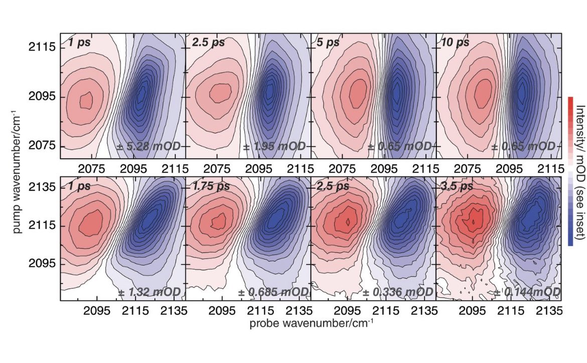 rike_mw's tweet image. For friends of #2DIR #cmds #ultrafast #FTIR and #ClickChemistry here is one of the first #2DIR spectra of an #azide carrying amino acid used in click reactions or as vibration probe (for an FTIR see @stripp_lab)