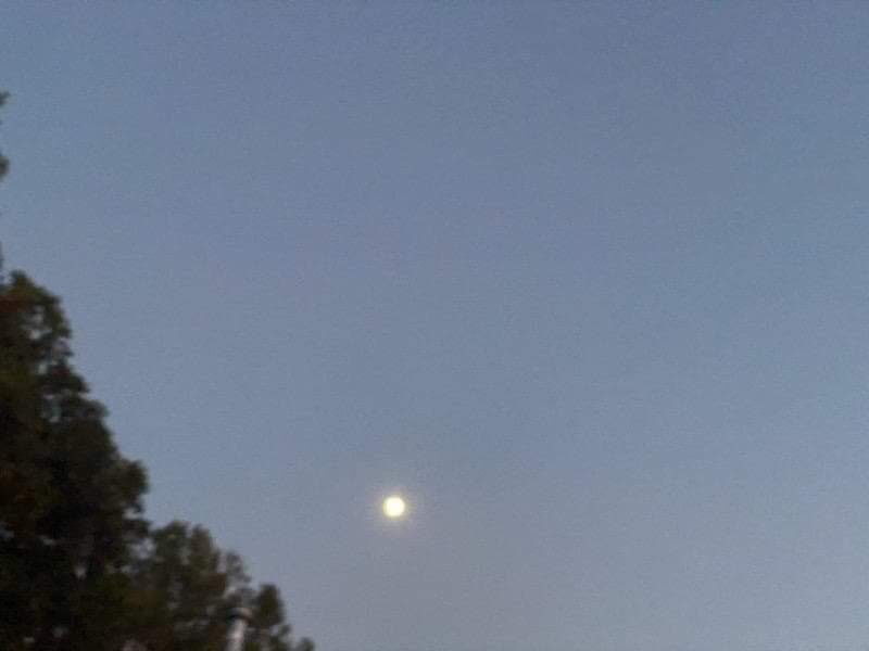 AshleyReneeWx's tweet photo. Moon over #RulevilleMS yesterday evening 😍 #mswx #viewerphoto #mississippidelta https://t.co/QLRtANF2Ry