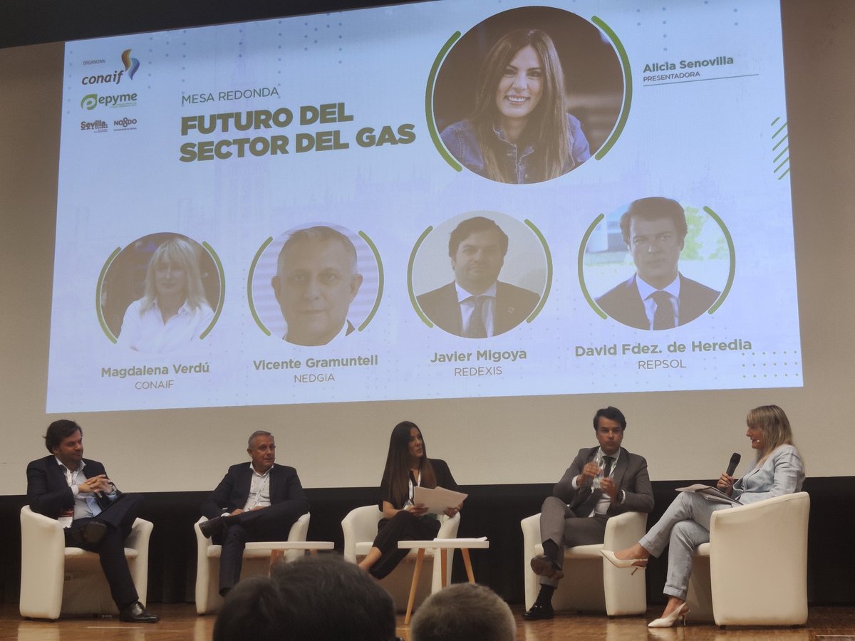 ASEIFes's tweet image. Futuro del Sector del Gas. Las empresas instaladoras del Gas eslabón primordial en la transición a energías renovables, hidrógeno, biometano y biopropano.@ASEIFes @nedgia @Repsol @Redexis @CONAIF