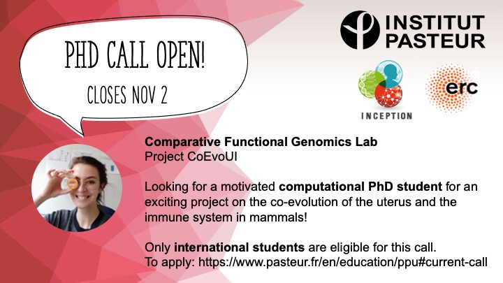 PhD call open! 📢 🧑‍💻 We are looking for a computational PhD student for Fall 2023, to work on the co-evolution of the reproductive and immune systems in mammals! Only international students (not currently studying in France) are eligible to this call. pasteur.fr/en/education/p…