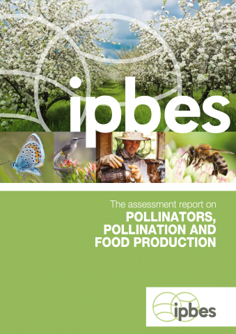 Based on @ipbes science, Pennsylvania lawmaker @reprabb will propose legislation for a state task force on increasing bee and pollinator populations.

More via @pittsburghpatch 👇
patch.com/pennsylvania/p…

Download IPBES #PollinationAssessment: ipbes.net/assessment-rep…