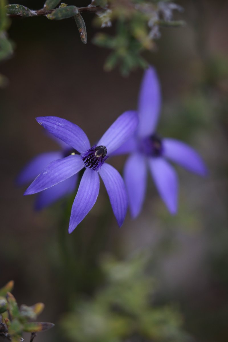 Rowan Mott tweet media