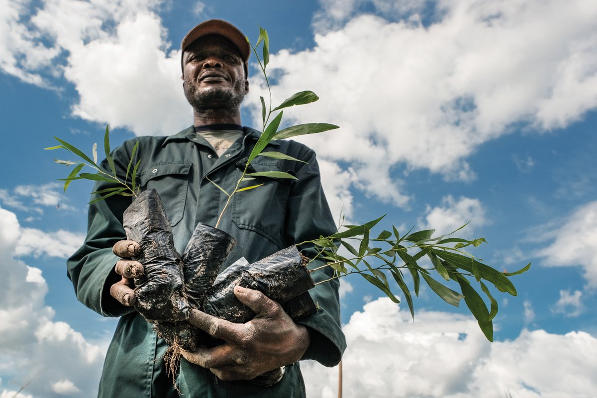 THE BEAM tweet media