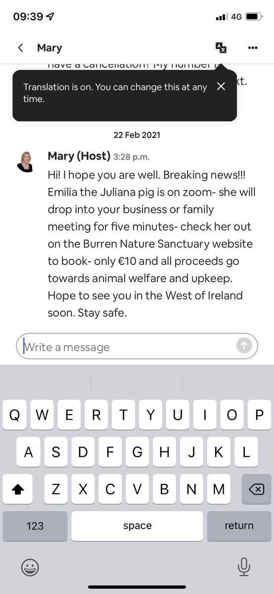 AineeDoyle's tweet photo. Just found this in my air bnb inbox honestly wtf was lockdown hahahaha a zoom call with a fucking pig for a tenner https://t.co/z0gCAeS9mt