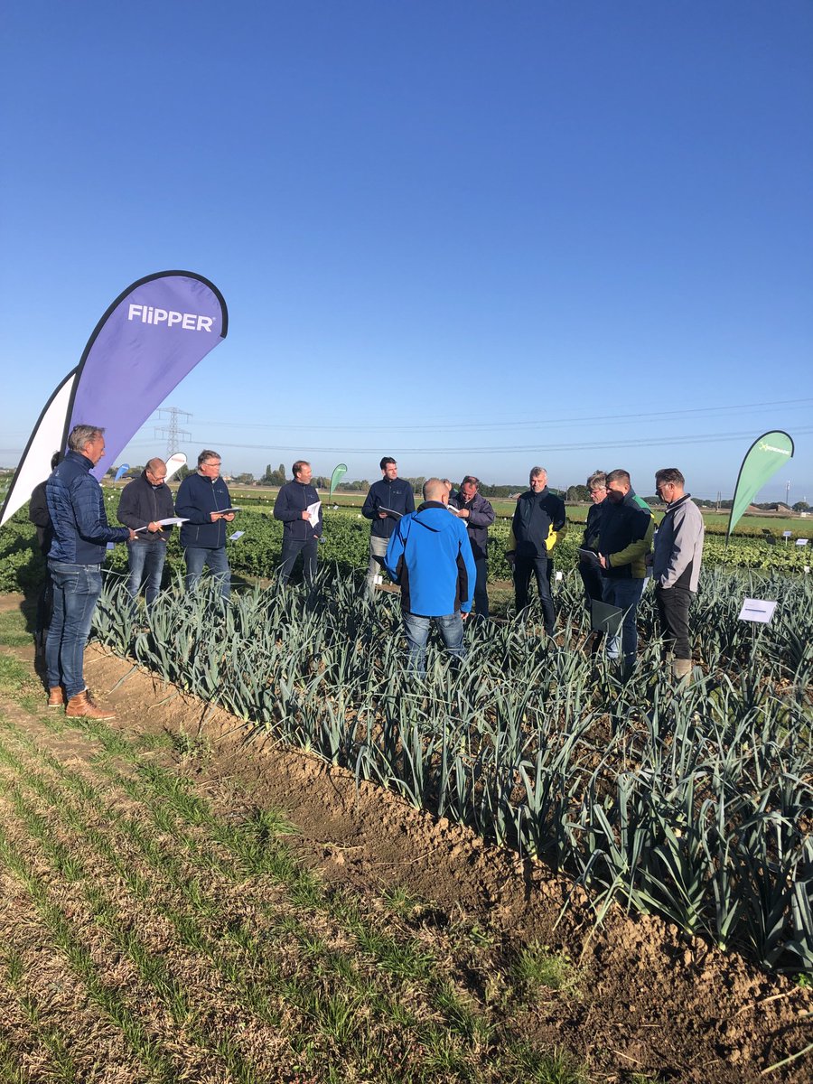 Bertill van de Wiel tweet media