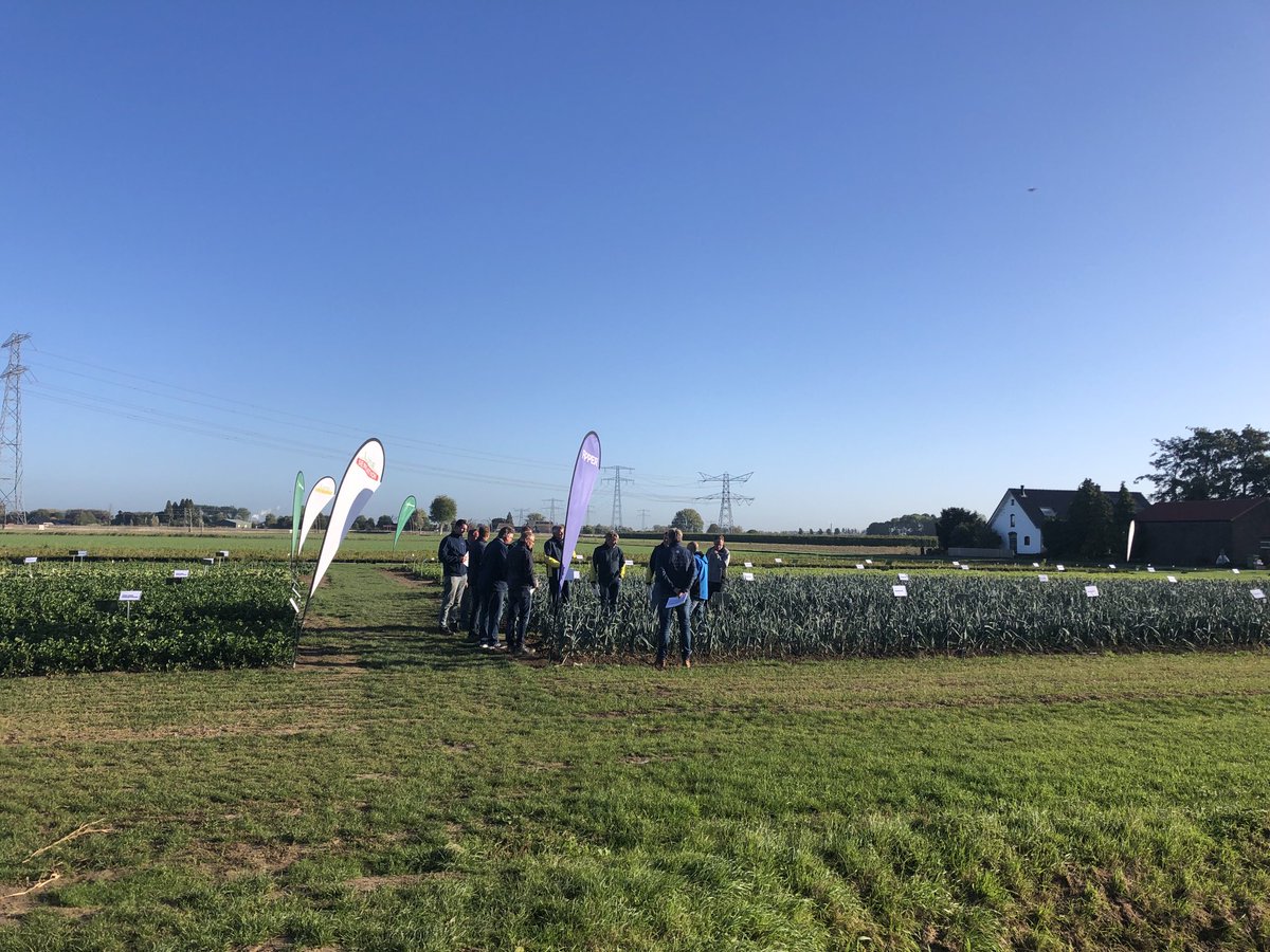 Bertill van de Wiel tweet media