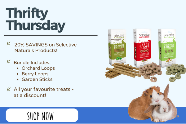 For our friends in the UK! 🇬🇧 Got little pets? We have deals for you! 🇬🇧 💰 Happy Thrifty Thursday 💰 smallpetselect.co.uk/products/thrif… #smallpetselect #lovethosesavings #thriftythursday #somanydeals #lovesavingmoney #greatdeals