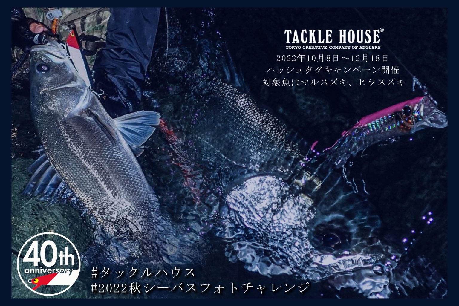伊豆のルアーフィッシング Fishing Izu Twitter
