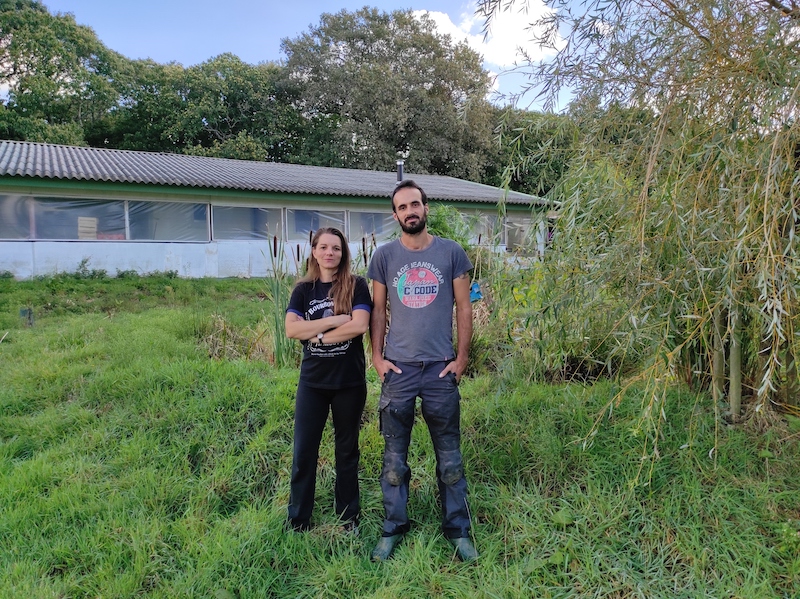 C'est l'histoire d'un jeune couple en maraichage biologique, précaire, qui vit en mobile home sur leur ferme. Un habitat léger qui n'est pas du goût du maire. Ils encourent 1500 euros d'amende par mois s'ils n'évacuent pas le mobile home de leur ferme.🧶basta.media/jeunes-maraich…