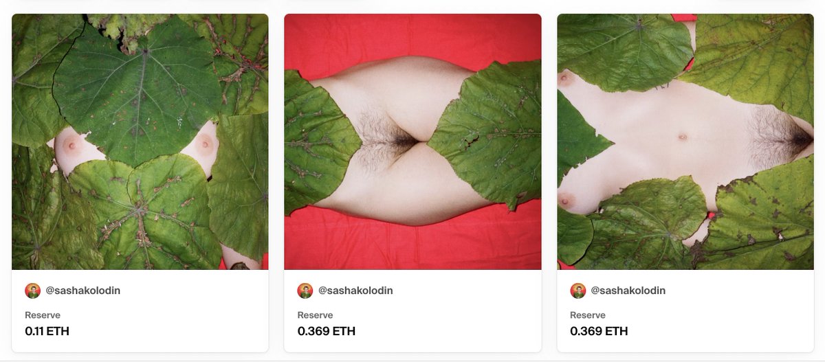 good morning frens!
1/1
3 pieces on <a href="/foundation/">Foundation 🌐</a> 

foundation.app/collection/blf…