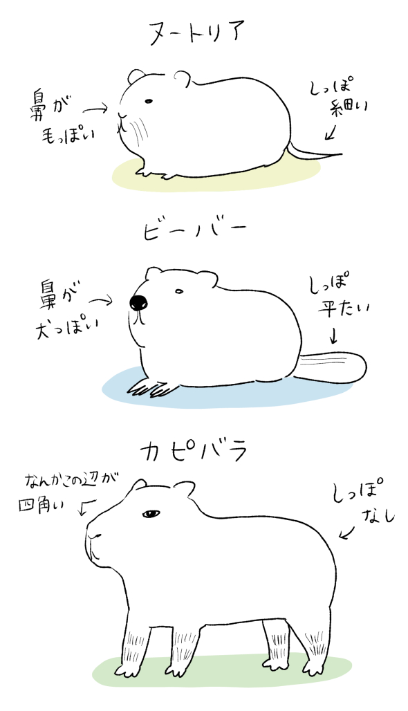 ヌートリア のイラスト マンガ作品 21 件 Twoucan