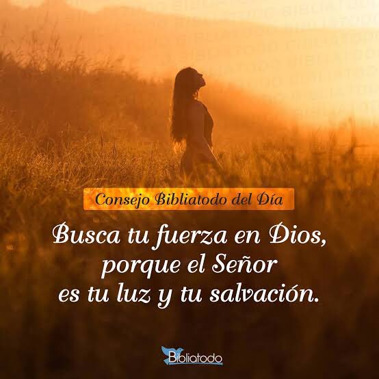 AJetlher's tweet photo. 1Sm30| Está angustiado? Está amargurado? Então, faça como Davi - “Se reanimou no Senhor, seu Deus”(6).
#PrimeiroDeus #rpsp https://t.co/RyC12waO52