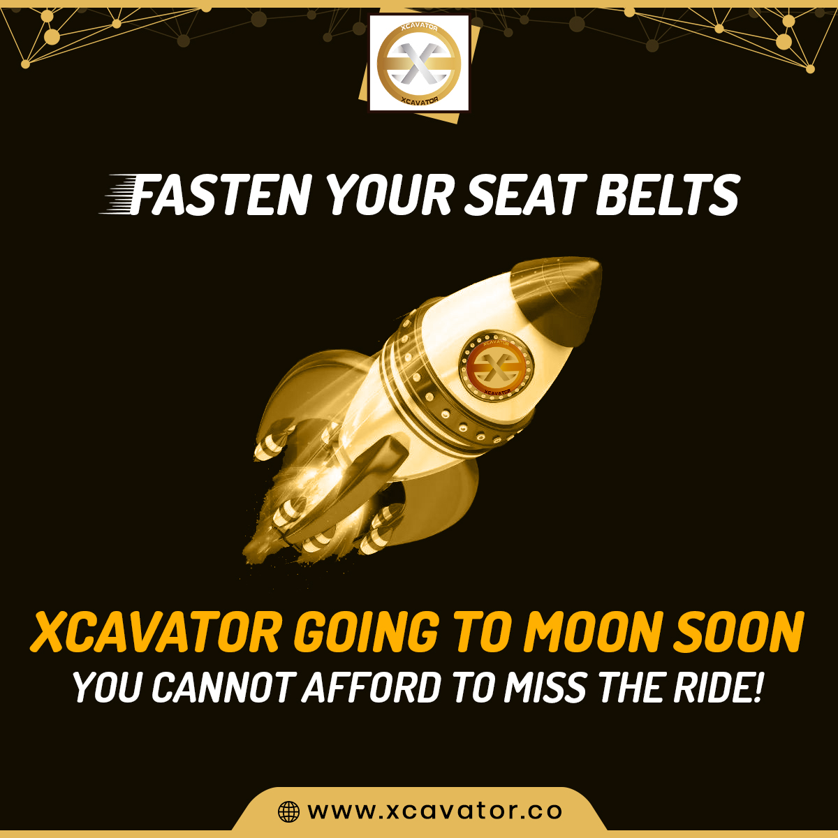 Xcavator International tweet media