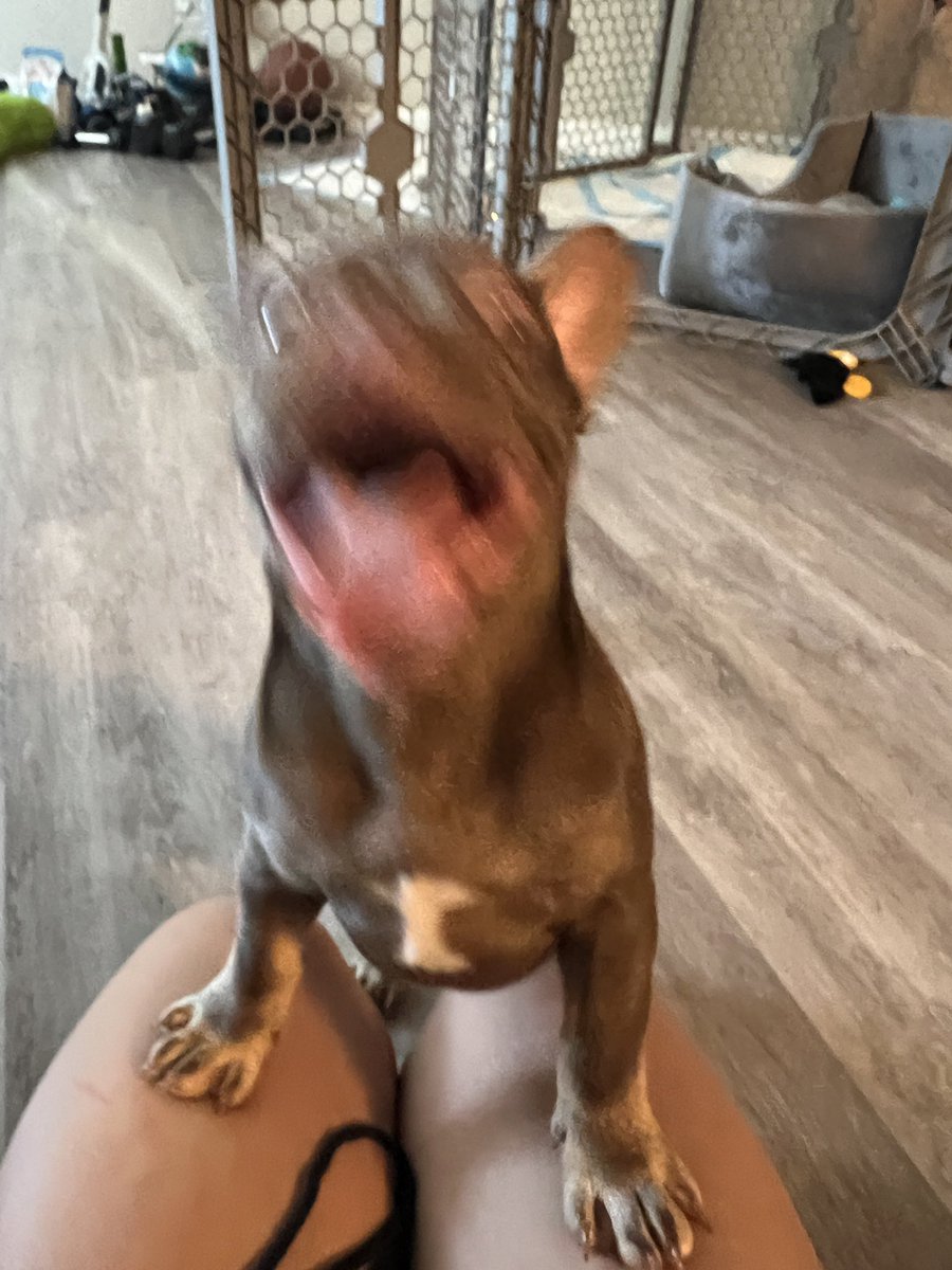 𝐈𝐆: 𝐃𝐀𝐎𝐍𝐋𝐘𝐃𝐑𝐄𝐘𝐀𝐇H💖 on Twitter: "🥰🥰🥰"