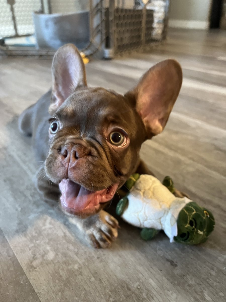 𝐈𝐆: 𝐃𝐀𝐎𝐍𝐋𝐘𝐃𝐑𝐄𝐘𝐀𝐇H💖 on Twitter: "🥰🥰🥰"