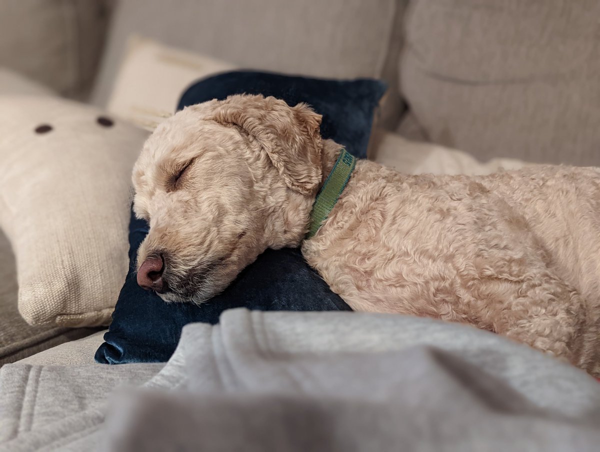 WallerDoodle's tweet photo. Long day, early night https://t.co/9zIw9InYq8