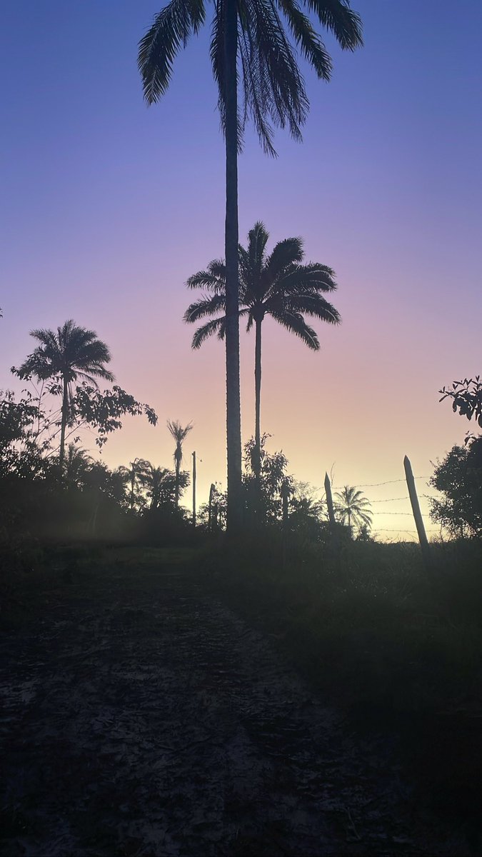 MrEduardaL1's tweet photo. Meu Quintal ! 🌴 #Meunão ! #DeDeus https://t.co/NocDxumx7w