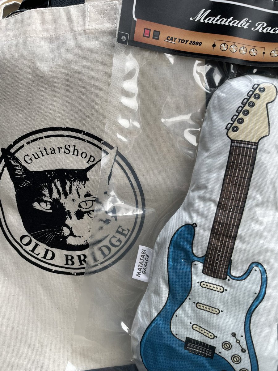 fjm_guitarbk's tweet photo. 今日の本命のギターショップに
ここだけゆったりな雰囲気が漂ういいショップです😊
看板猫🐱の「みかんちゃん」可愛かったー💕
#OLD_BRIDGE https://t.co/bNm0O2eqzr