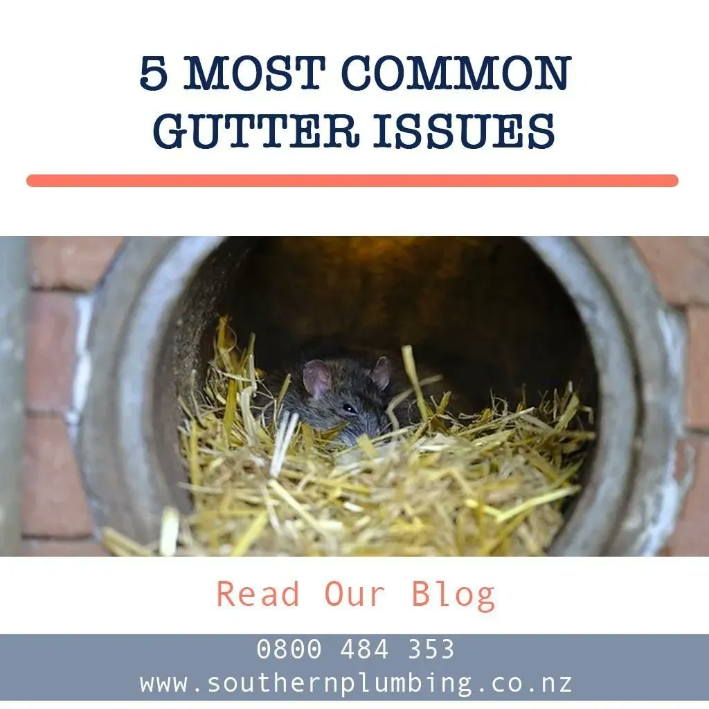WayneAValenzue1's tweet photo. RT https://t.co/IRya4Quvbw RT https://t.co/Ik5EdgfQq8 5 Most Common Gutter Issues - Read our blog on https://t.co/Si2I2hImCp #gutterissues #gutteringproblems #gutterWellington #Wellingto… https://t.co/ycpidpdhkf